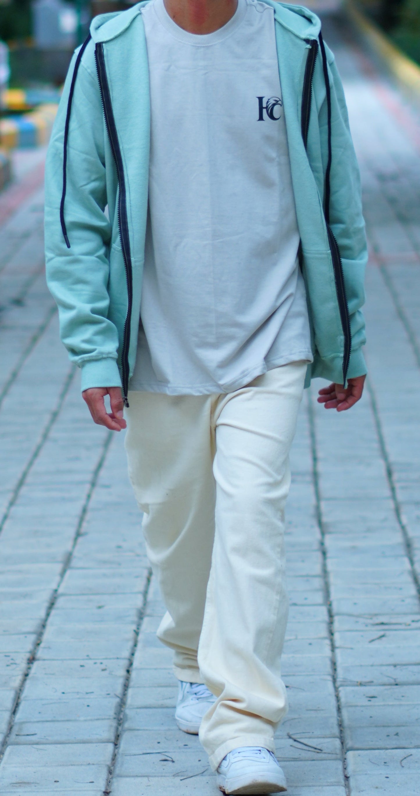 Mint green (Sage Mint color) color Hoodies for Men's